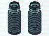 AUTOFREN SEINSA D9167C Bellow Set, steering